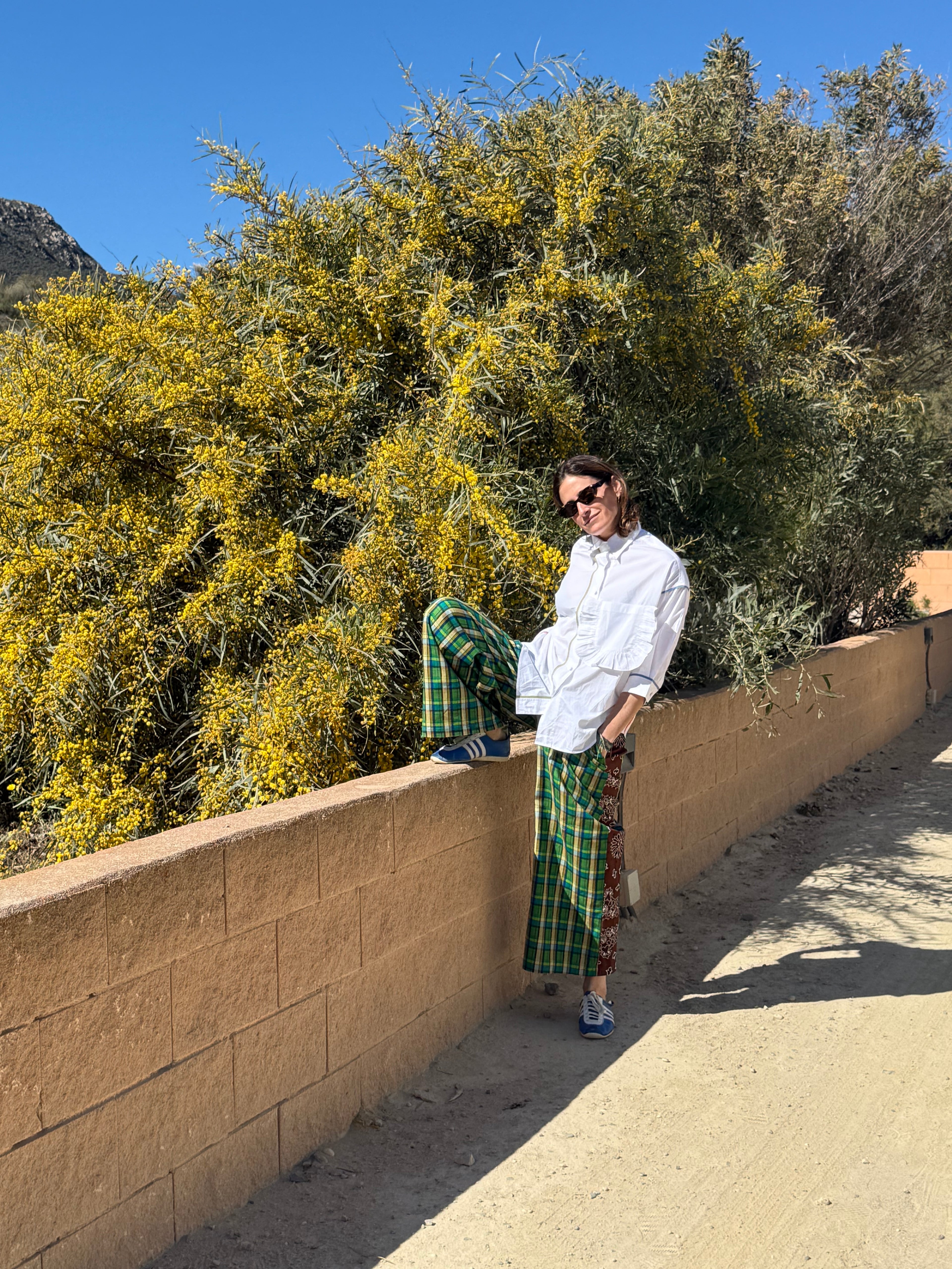 Pant TODO AL VERDE